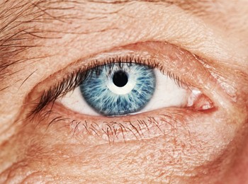 CATARATTA, GLAUCOMA E DEGENERAZIONE MACULARE: LA PREVENZIONE COME MIGLIOR CURA